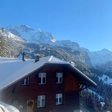 Chalet Aargovia Wengen Zewnętrze zdjęcie