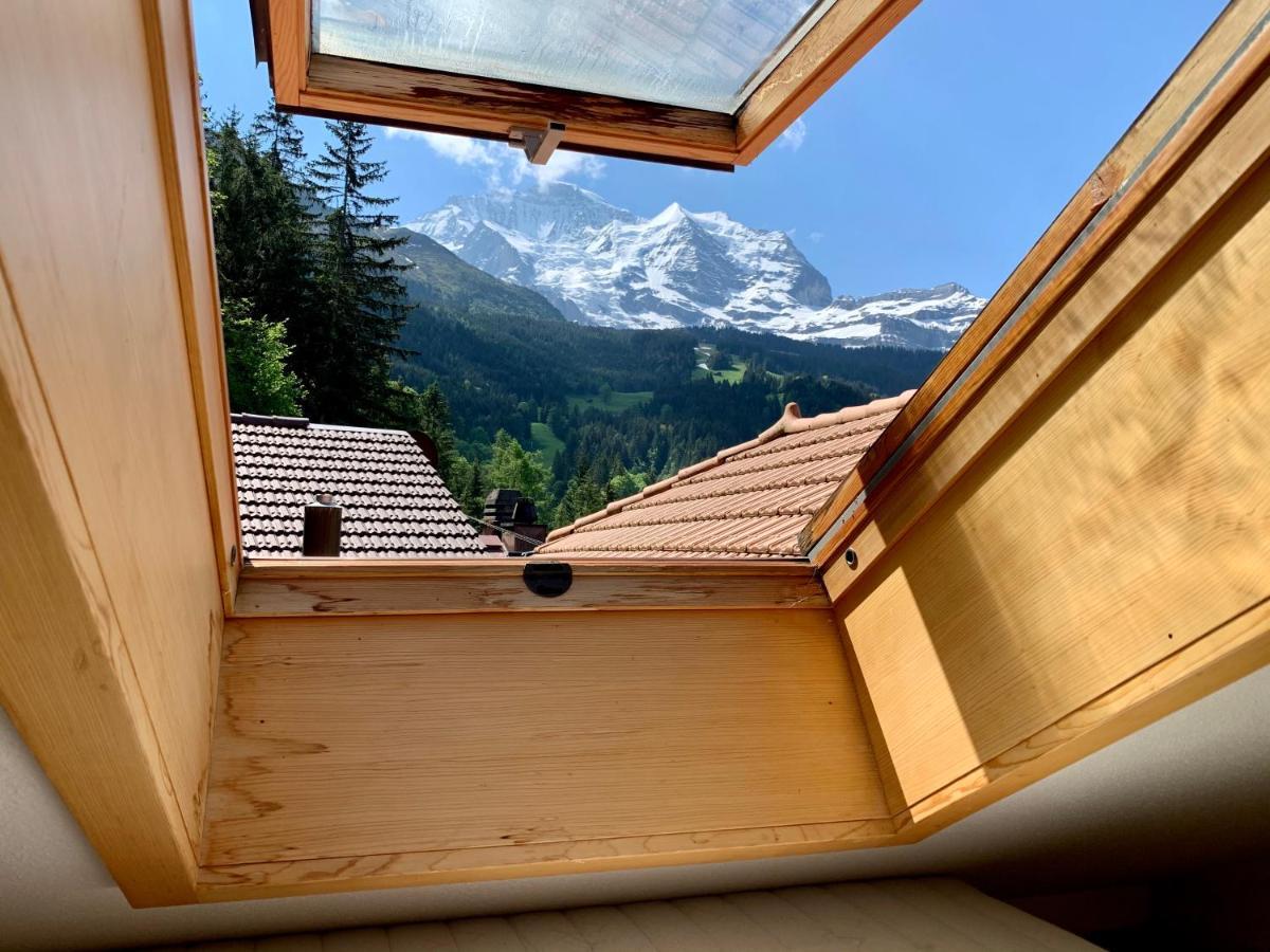 Chalet Aargovia Wengen Zewnętrze zdjęcie