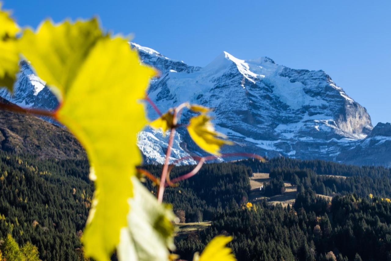 Chalet Aargovia Wengen Zewnętrze zdjęcie
