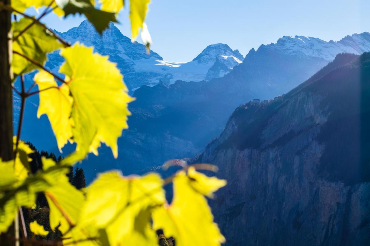 Chalet Aargovia Wengen Zewnętrze zdjęcie